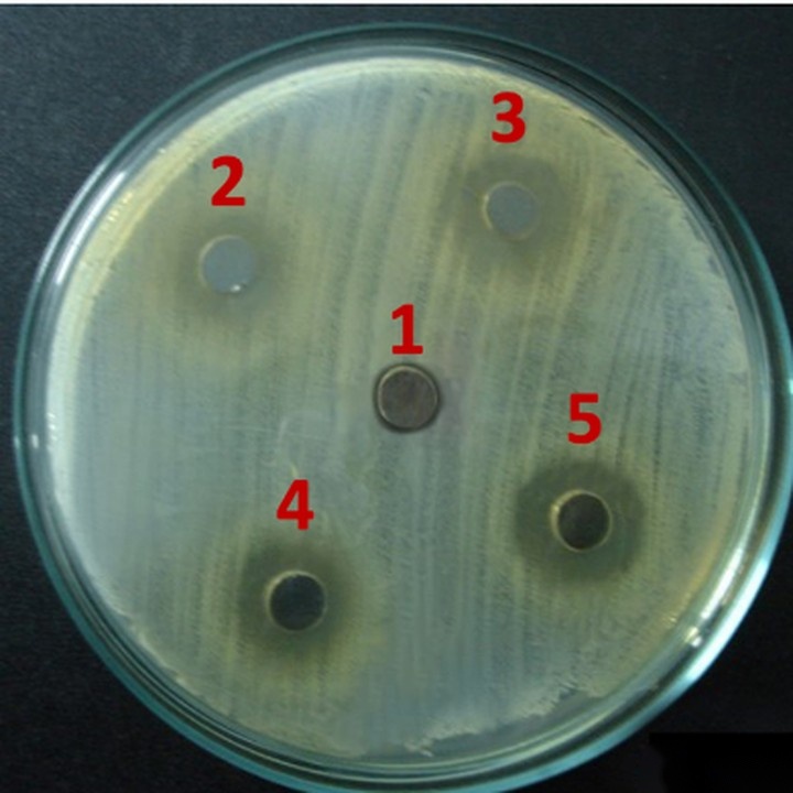 MRSA laboratory assay